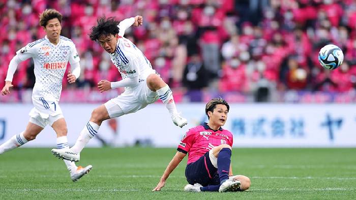 Nhận định, soi kèo Albirex Niigata vs Machida Zelvia, 17h00 ngày 4/9: Machida Zelvia sa sút