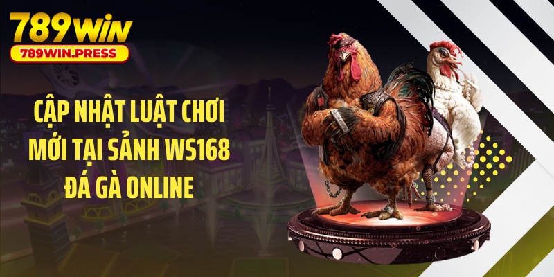 Cập nhật luật chơi mới tại sảnh WS168 đá gà online