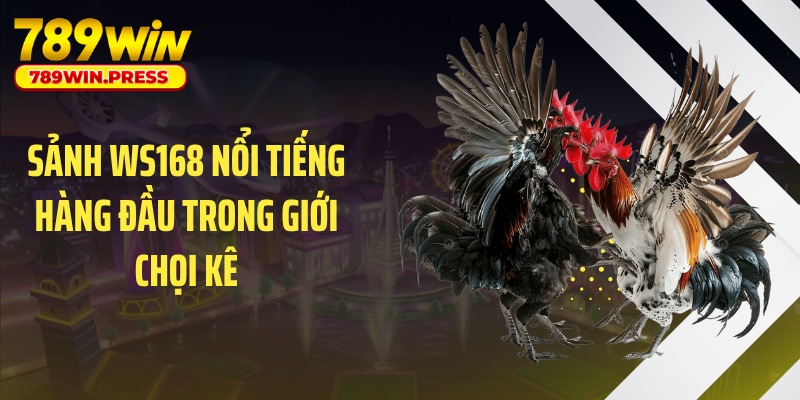 Sảnh WS168 nổi tiếng hàng đầu trong giới chọi kê