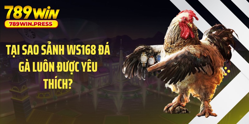 Tại sao sảnh WS168 đá gà luôn được yêu thích?